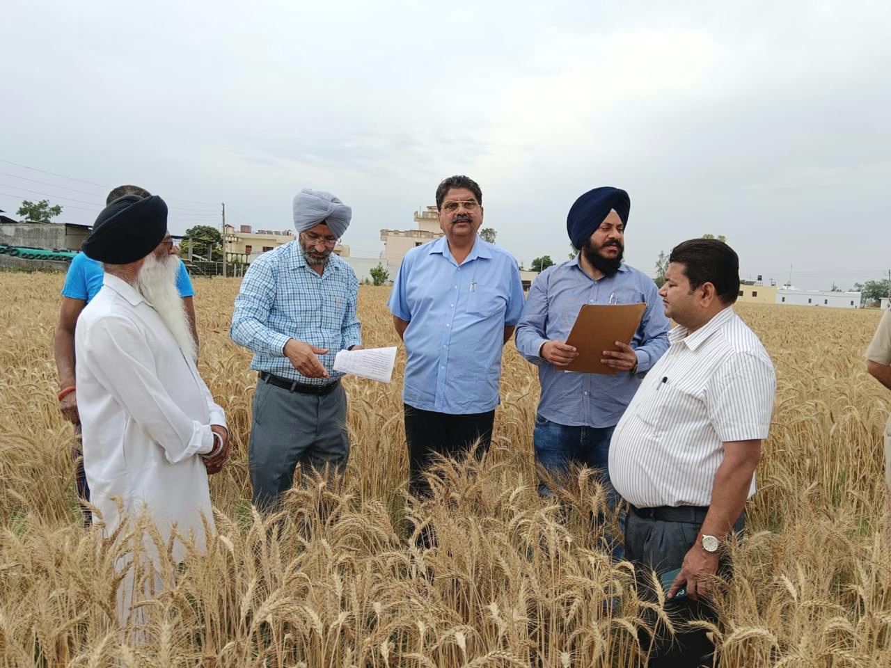 The Deputy Commissioner inspected the wheat crop sown with surface seeder